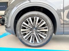 Volkswagen Lanxun 330TSI Luxury Touring Shared Edition - ფოტო 6