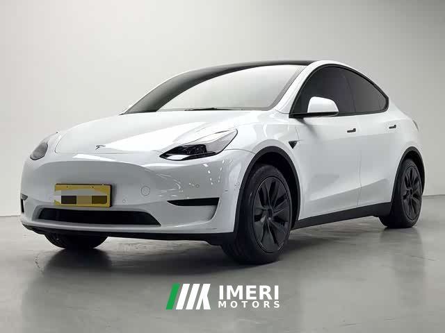 Tesla Model Y Rear-Wheel Drive - ავტომობილი ჩინეთიდან