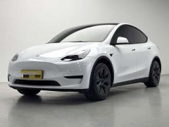 Tesla Model Y Rear-Wheel Drive - ფოტო 1
