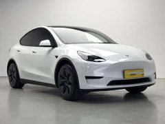 Tesla Model Y Rear-Wheel Drive - ფოტო 3