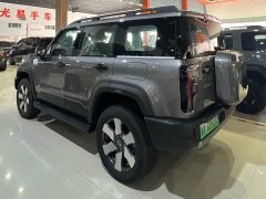 Beijing Jeep BJ40 Extended Range Long Endurance 201 Max - ფოტო 3