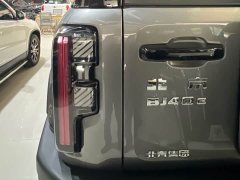 Beijing Jeep BJ40 Extended Range Long Endurance 201 Max - ფოტო 6