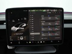 Tesla Model 3 2023 Rear-Wheel Drive - ფოტო 7