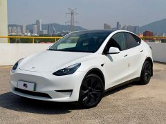 Tesla Model Y Rear-Wheel Drive - ფოტო 1