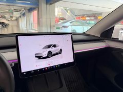 Tesla Model Y Rear-Wheel Drive - ფოტო 14