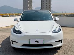 Tesla Model Y Rear-Wheel Drive - ფოტო 2