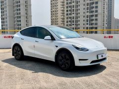 Tesla Model Y Rear-Wheel Drive - ფოტო 3