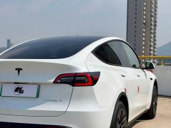 Tesla Model Y Rear-Wheel Drive - ფოტო 6