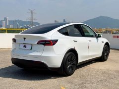 Tesla Model Y Rear-Wheel Drive - ფოტო 7