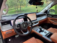 Tank 500 3.0T Sport Landscape 5-Seater - ფოტო 4
