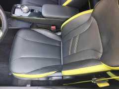 Geely Geometry E Firefly 401KM Thunder Tiger 4-Seater - ფოტო 17