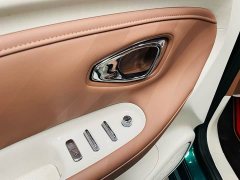 Wuling Bingguo Pro 330km Deluxe Edition - ფოტო 13