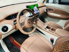 Wuling Bingguo Pro 330km Deluxe Edition - ფოტო 15