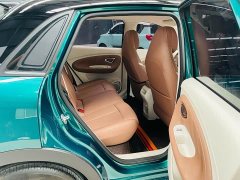 Wuling Bingguo Pro 330km Deluxe Edition - ფოტო 17