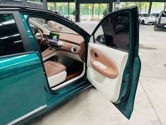 Wuling Bingguo Pro 330km Deluxe Edition - ფოტო 19