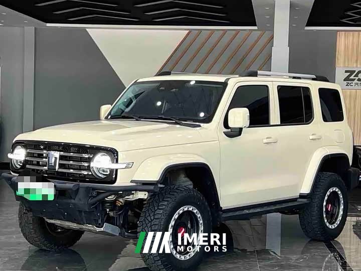Tank 300 New Energy Hi4-T 37.1kWh - ავტომობილი ჩინეთიდან