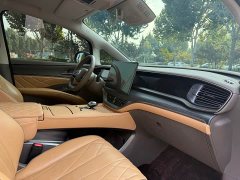 Denza BYD Denza D9 2022 DM-i 970 AWD Premium Edition - ფოტო 11