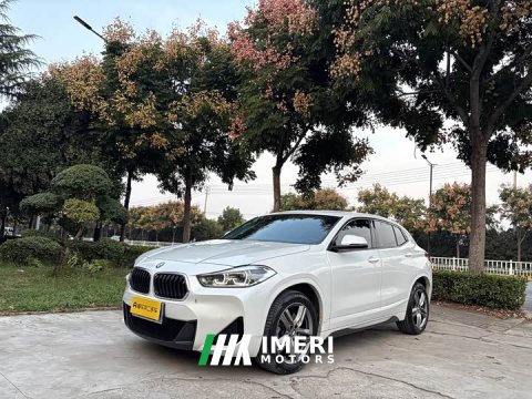 2022 BMW X2 2021 sDrive25i Leading Edition M Off-Road Package - ავტომობილი ჩინეთიდან