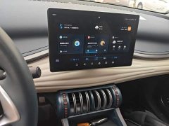 BYD Yuan Plus 2022 510KM Respect and Honor Edition - ფოტო 12