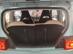 Wuling Hongguang MINIEV 2020 Deluxe Edition LFP Battery - ფოტო 18
