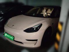 Tesla Model 3 2022 Rear-Wheel Drive - ფოტო 1