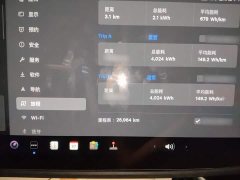Tesla Model 3 2022 Rear-Wheel Drive - ფოტო 3