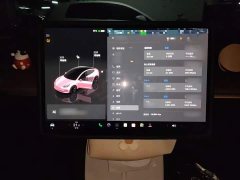 Tesla Model 3 2022 Rear-Wheel Drive - ფოტო 5