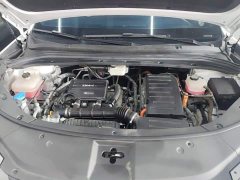 BYD Song L DM-i 2024 112km Transcendence - ფოტო 19