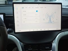 BYD Song Pro New Energy DM-i 110km Flagship Pro - ფოტო 12