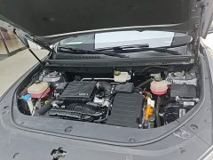 BYD Song Pro New Energy DM-i 110km Flagship Pro - ფოტო 19