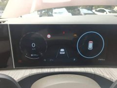 Hyundai Santafe 2.0T Connoisseur Ultra - ფოტო 11