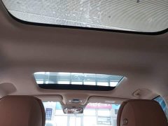 Denza BYD Denza D9 2024 DM-i 980 Four-Wheel Drive Premium - ფოტო 17