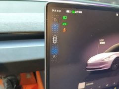 Tesla Model 3 2023 Rear-Wheel Drive - ფოტო 13