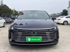BYD Destroyer 05 Champion Edition DM-i 55KM Luxury - ფოტო 2