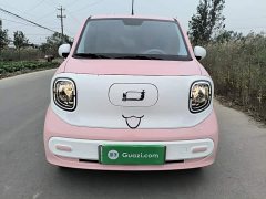 FAW Besturn Xiaoma 222km Lightning Edition - ფოტო 2