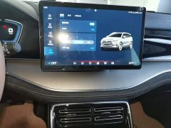 BYD Yuan Plus DM-i 2021 112KM Premium Edition - ფოტო 17
