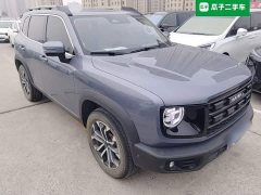 Great Wall Dachshund 2026 1.5T DCT Border Collie Edition - ფოტო 3
