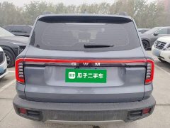 Great Wall Dachshund 2026 1.5T DCT Border Collie Edition - ფოტო 5