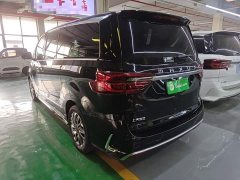 Maxus G20 PLUS 2.0T Petrol Automatic Distinguished Elegance Edition - ფოტო 4