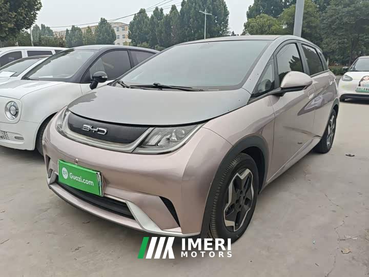 BYD Dolphin 405km Fashion Edition - ავტომობილი ჩინეთიდან