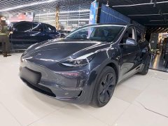 Tesla Model Y Long Range All-Wheel Drive - ფოტო 1