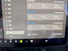 Tesla Model Y Long Range All-Wheel Drive - ფოტო 11
