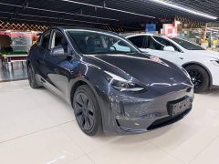 Tesla Model Y Long Range All-Wheel Drive - ფოტო 3
