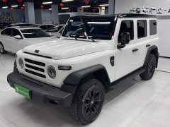 Tesla 2024 Explorer 2.0T Adventure Edition - ფოტო 1