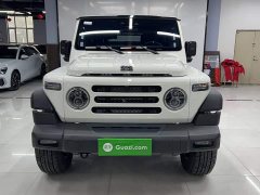 Tesla 2024 Explorer 2.0T Adventure Edition - ფოტო 4