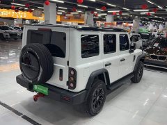 Tesla 2024 Explorer 2.0T Adventure Edition - ფოტო 6