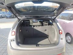 Nio Firefly Carefree Edition - ფოტო 18