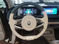 ORA Good Cat 401km Standard Range Luxury LFP - ფოტო 10
