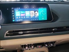 ORA Good Cat 401km Standard Range Luxury LFP - ფოტო 12