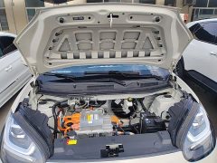 Wuling Binguo 203km Light Enjoy Edition - ფოტო 19